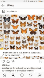 Product Types | What to post on Instagram